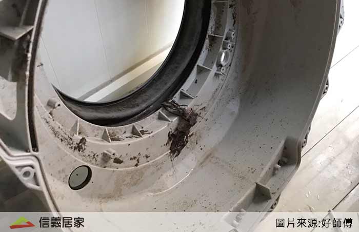 洗衣機清潔實況LIVE轉播