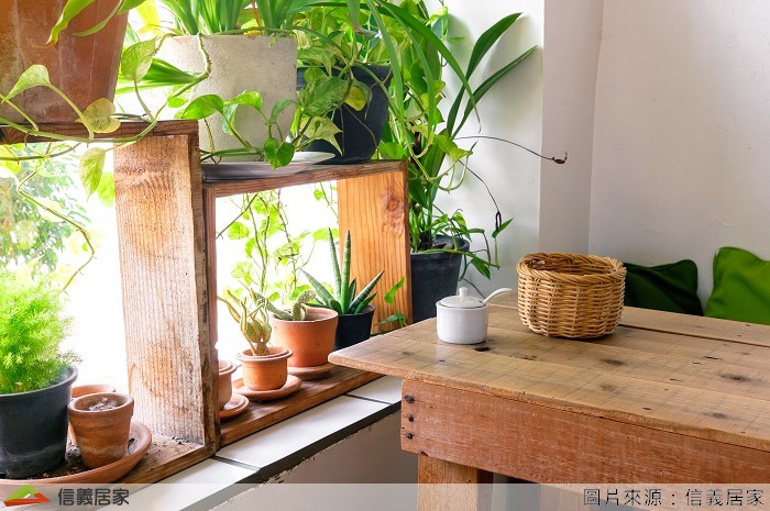 若有預算考量，也可以考慮用植栽來達到室內降溫唷！以常春藤來說，葉片上有細小的氣孔，能吸附室內有害物質，對於淨化空氣、降溫都有很棒的效果喔！ 如果家庭成員有吸菸者，那就很適合種植萬年青了，因為萬年青具有淨化尼古丁的能力，若能在家中擺上一盆，根本是有益無害啊！