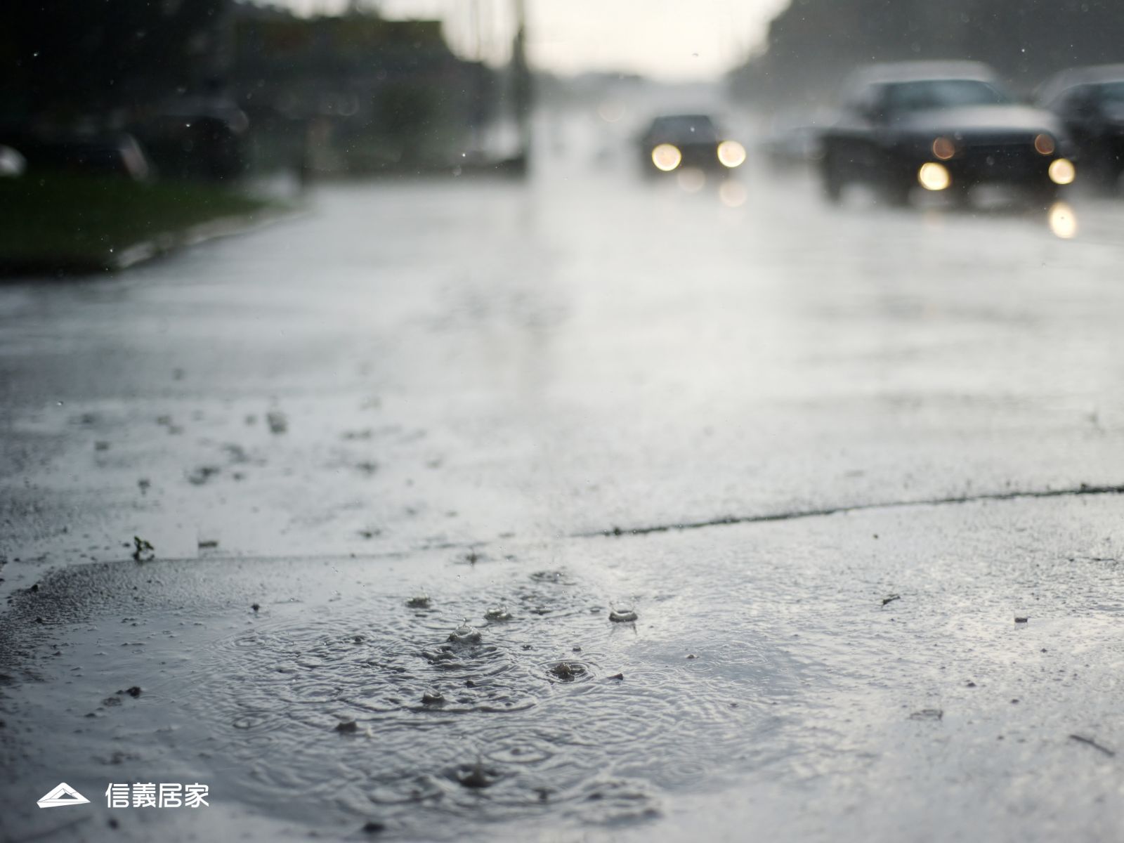 梅雨季居家防潮攻略！預防潮濕、反潮，讓家保持乾爽舒適