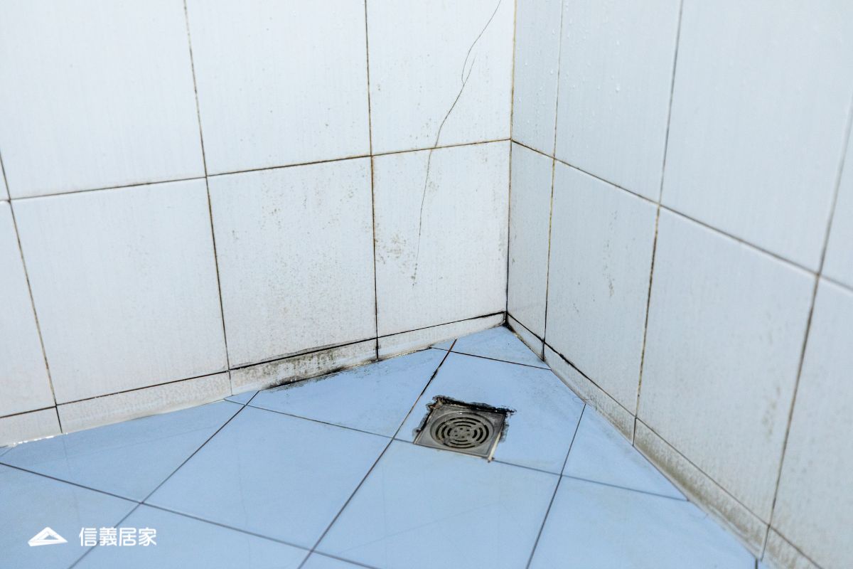 清除浴室霉菌的最佳方法？這幾招比你想的簡單！