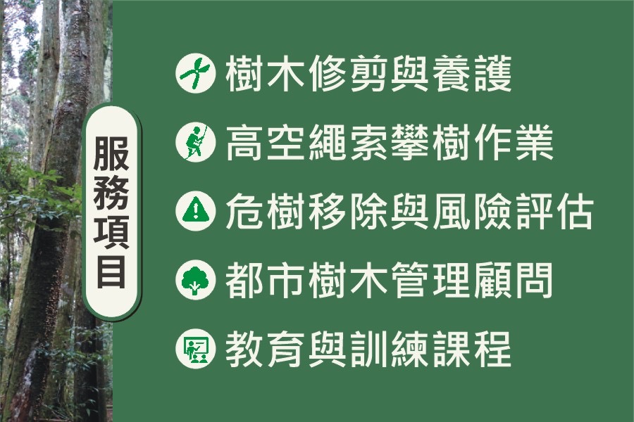 藝樹人服務介紹