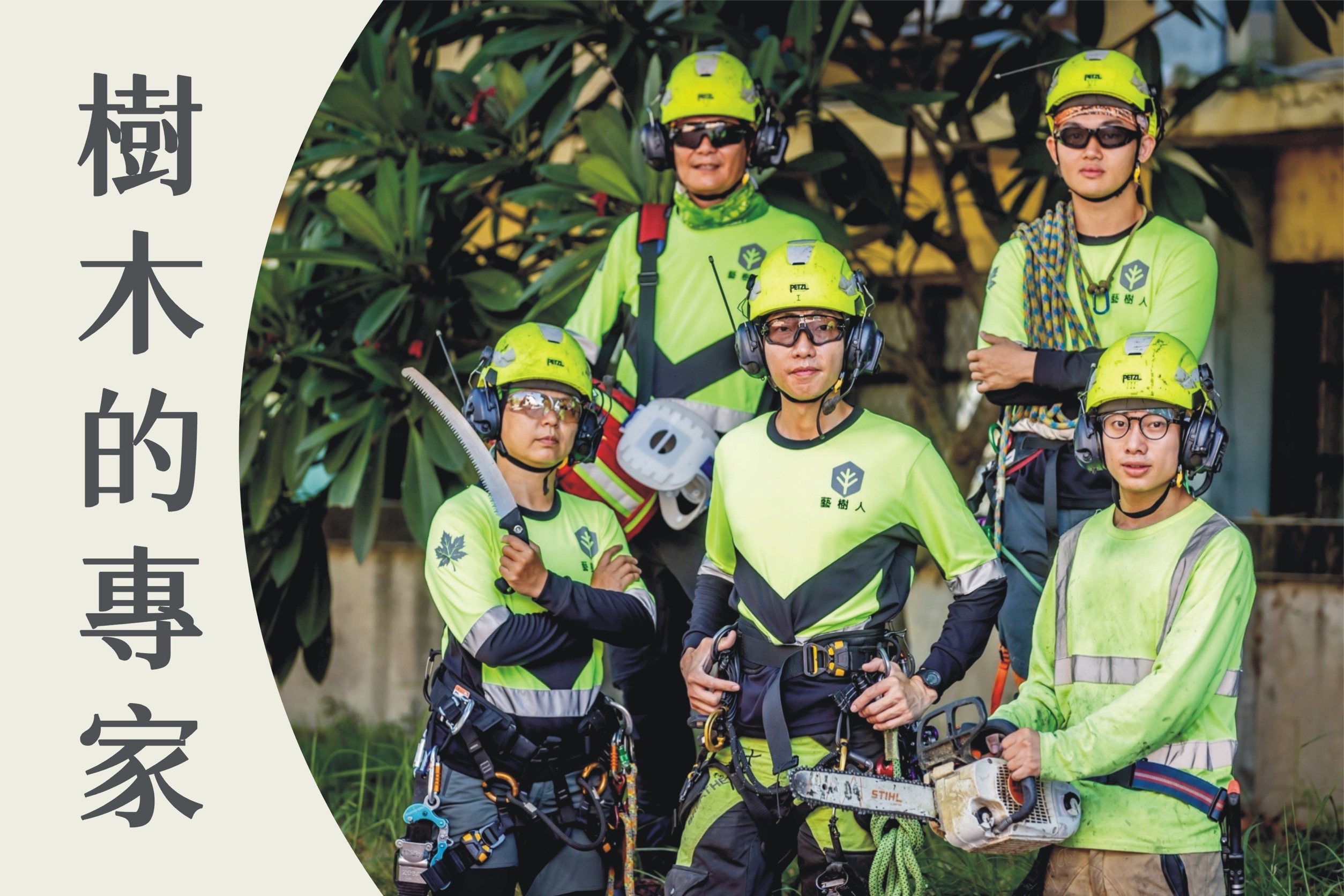 從加拿大帶回的專業修樹技術