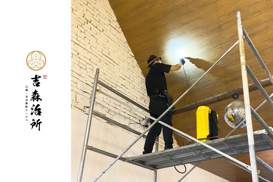 信義居家吉森治所除蟲消毒服務