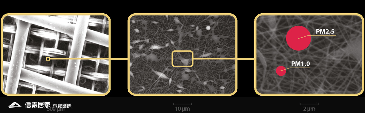 瑞士龍在顯微鏡下構造
