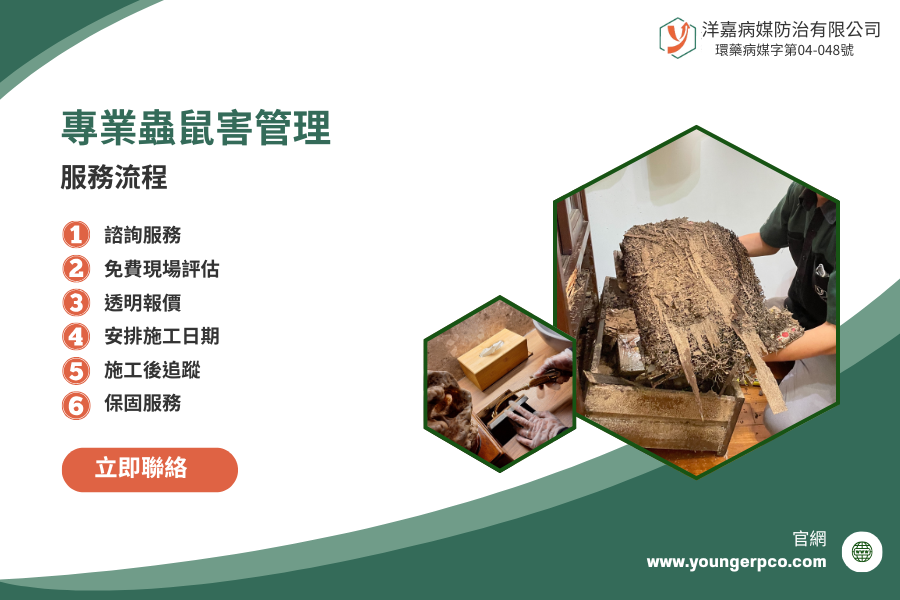 洋嘉病媒防治服務介紹