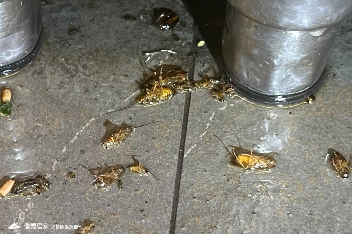 只有固定清潔不夠，為什麼還需要專業防治師？