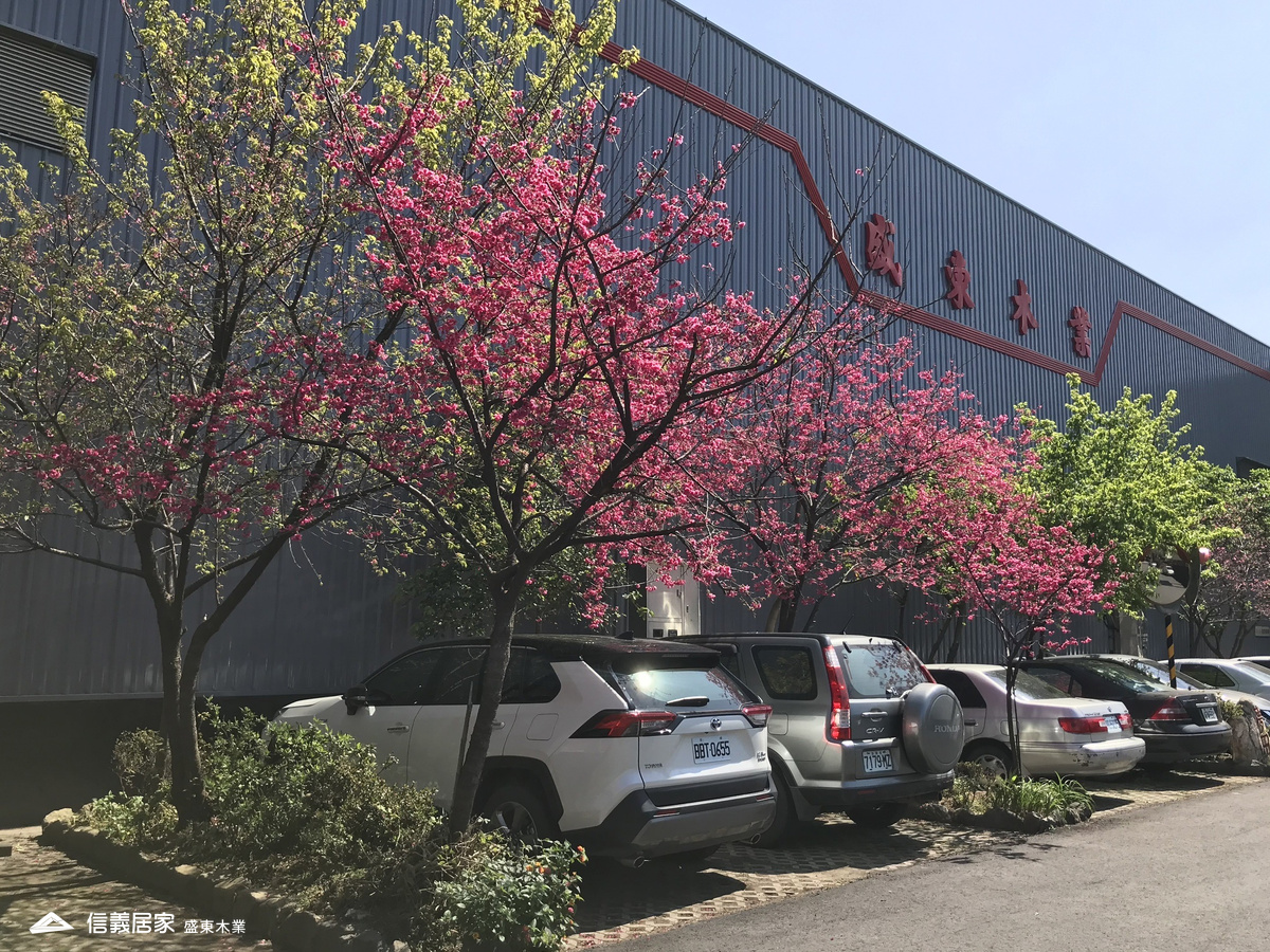 盛東木業x展示間x案例